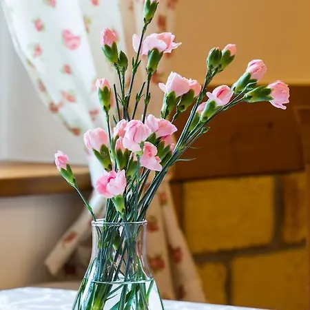 Frühstückspension Cynamon Jacuzzi & Sauna