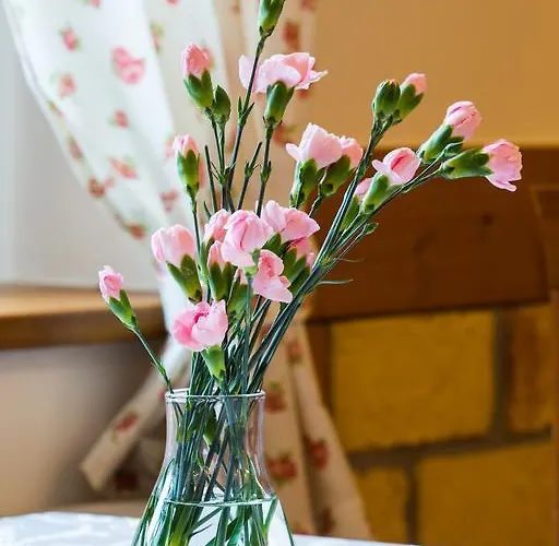 Bed & Breakfast Cynamon Jacuzzi & Sauna